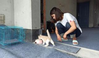 入住毛坯房女孩现状